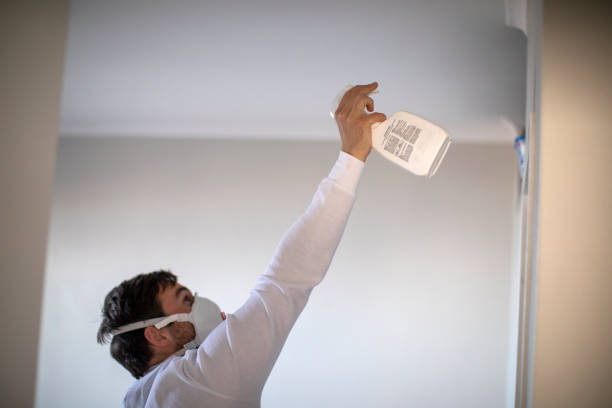 Best Commercial Mold Removal  in Littlerock, CA
