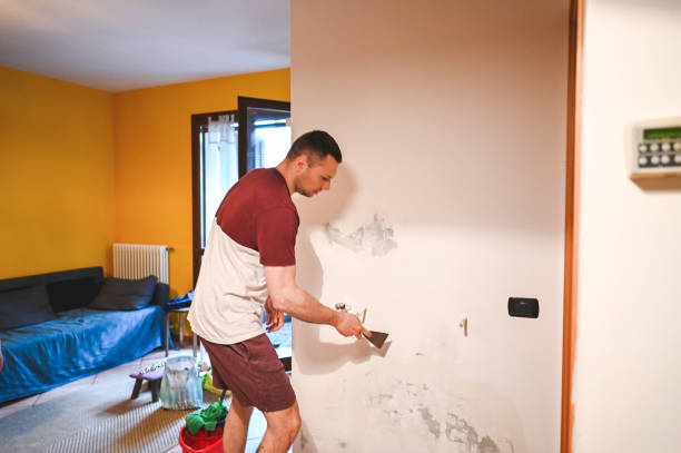 Best Residential Mold Removal  in Littlerock, CA